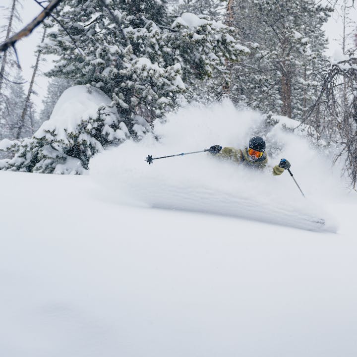Snow Poles: Skiing, Backcountry, Splitboarding & More