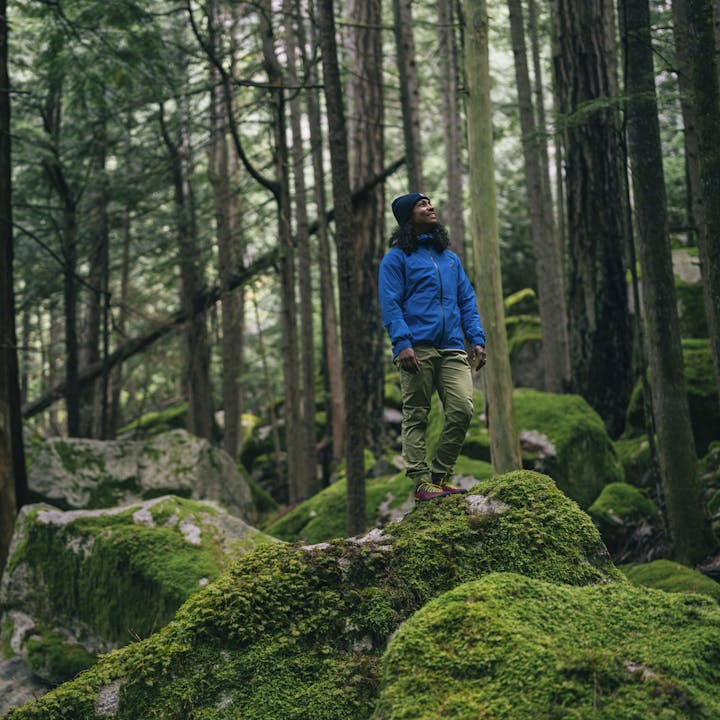 A hiker walks through the forest in Squamish, BC. 