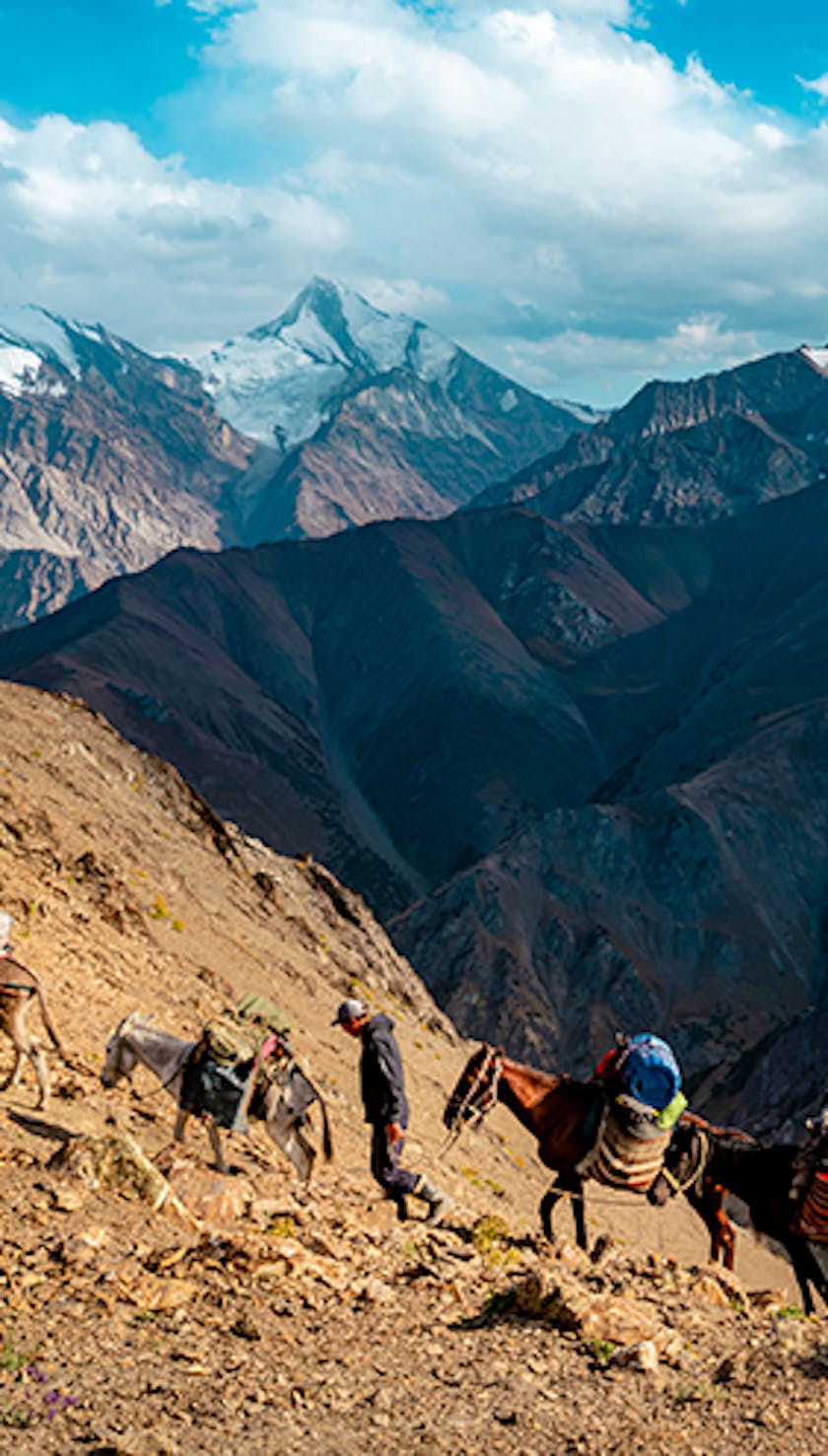 Trekkers on a mountain trail